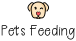 Pets Feeding