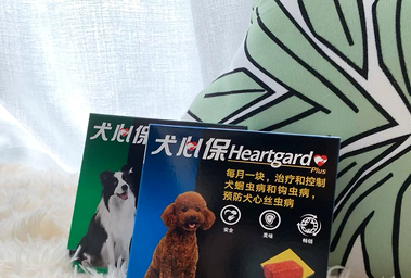 Dung officials, do you know the heartworm?