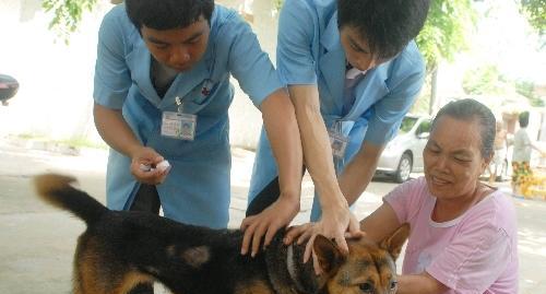 Expectant mothers can also get rabies vaccine.