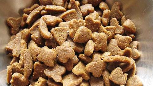 How to change dog food safely?
