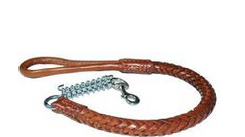 How to choose the type of dog leash