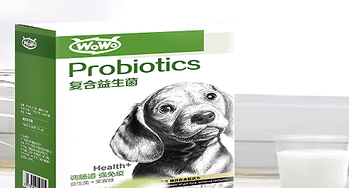 How to regulate the dog's stomach, supplement pet probiotics and refuse "glass stomach"