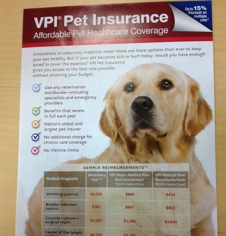 Pet insurance is popular in Europe and America.