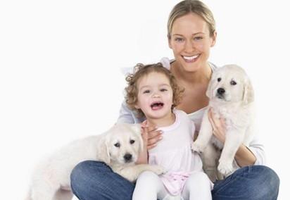 The Importance of Disinfection for Family Pet Keeping Scientifically