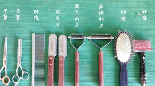 What are the standing beauty tools?